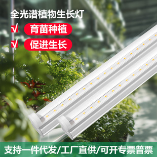 ȫ���V��̫ꖹ�t5ֲ�������M���a����҃ȼ����߲�ˮ�����L��