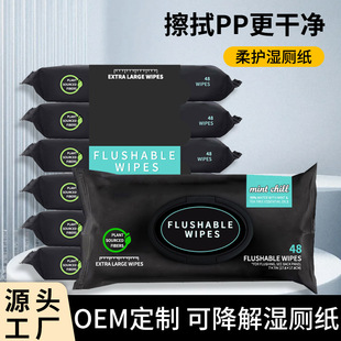 Cross-border special supply of wet toilet paper 48 pumping foreign trade English packaging household flushable super cost-effective biodegradable clean wet tissue