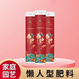 清洁球/刷;厨房小工具;衣钩/挂钩