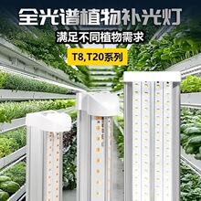T8T20���Vֲ���a���������ɫ��ͽ�L����ˮ���߲˷NֲLED���L��