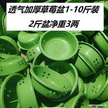 300Ӻ͸ݮժֱ tɫGɫb}ˮ