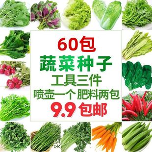 �ļ����N�߲˷N���̨��������S���������t����ݮ�²����Բ˷N��