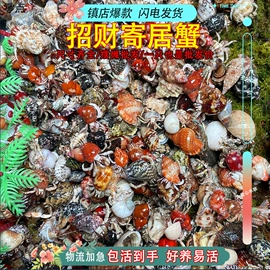 离心泵;磨片、切割片;电焊机