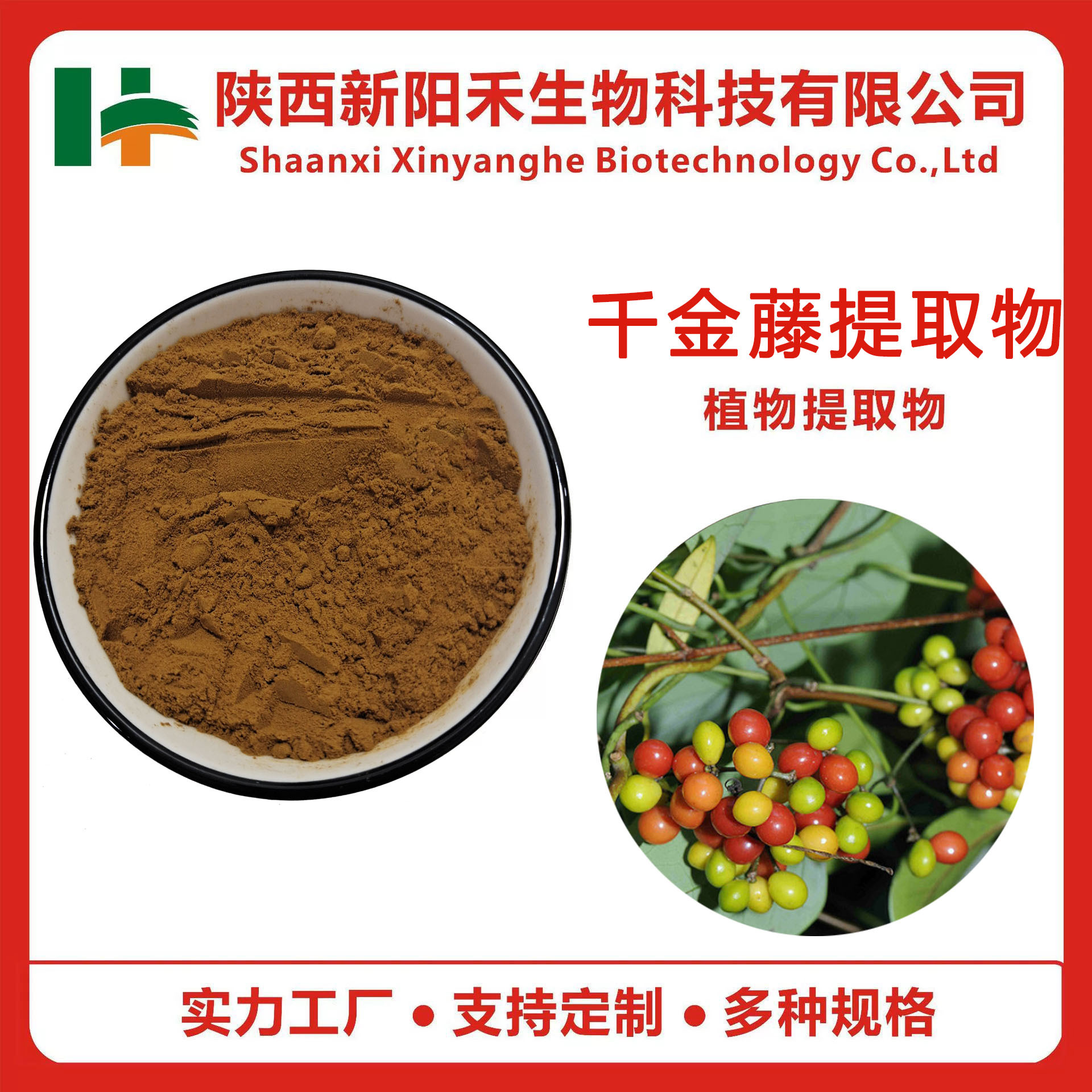 千金藤提取物 千金藤素 千金藤碱喷雾干燥粉  新阳禾源头工厂现货