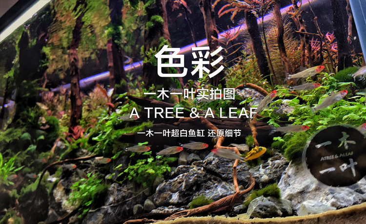 e6bf49cb-d5d8-493a-be57-09eccd91eb7f.jpe