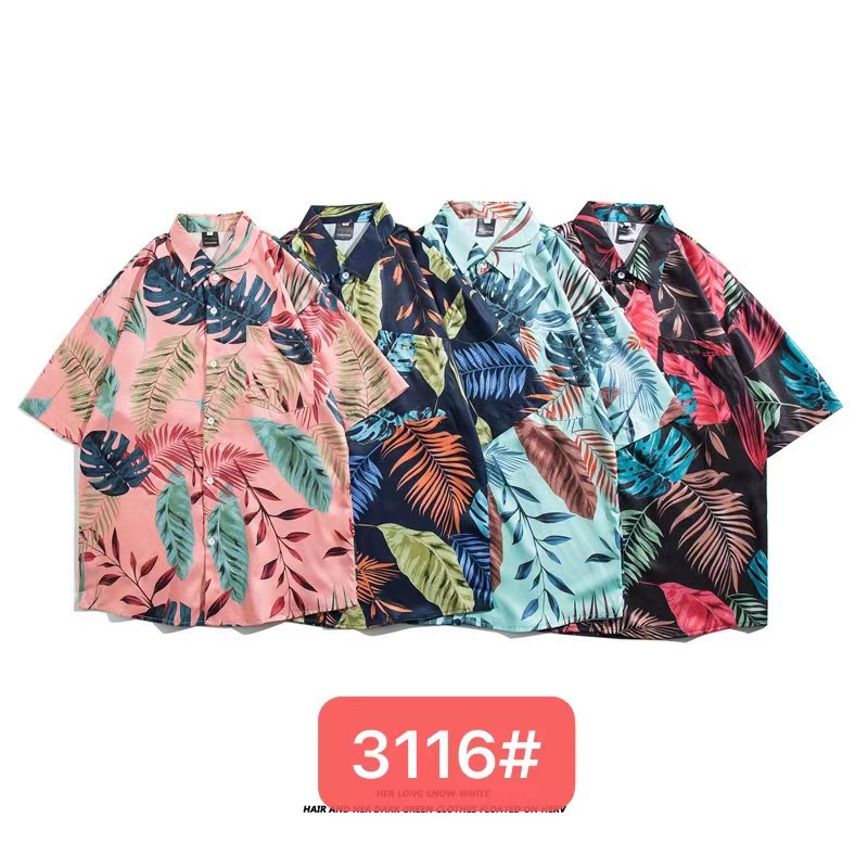 3116 오른쪽 두 번째 라이트 블루