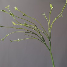 滨֦l֦ѿ֦ѿ֦lWɭϵҾӘӰgƵcb