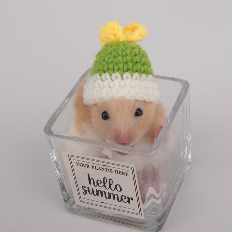 5. 녹색 새싹 모자