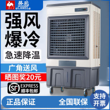 �񄹤�I���L�C���ü��ô��Ϳ��{��������L�����lʽ���S܇�g����