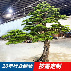 模擬松、松、美人松、羅漢松、ホテル、ショッピングモール、動物園、室内装飾、風景装飾品のカスタマイズ