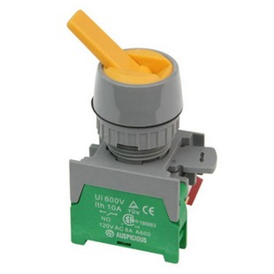 AUSPICIOUS Handing LS22 knob selector switch original genuine goods
