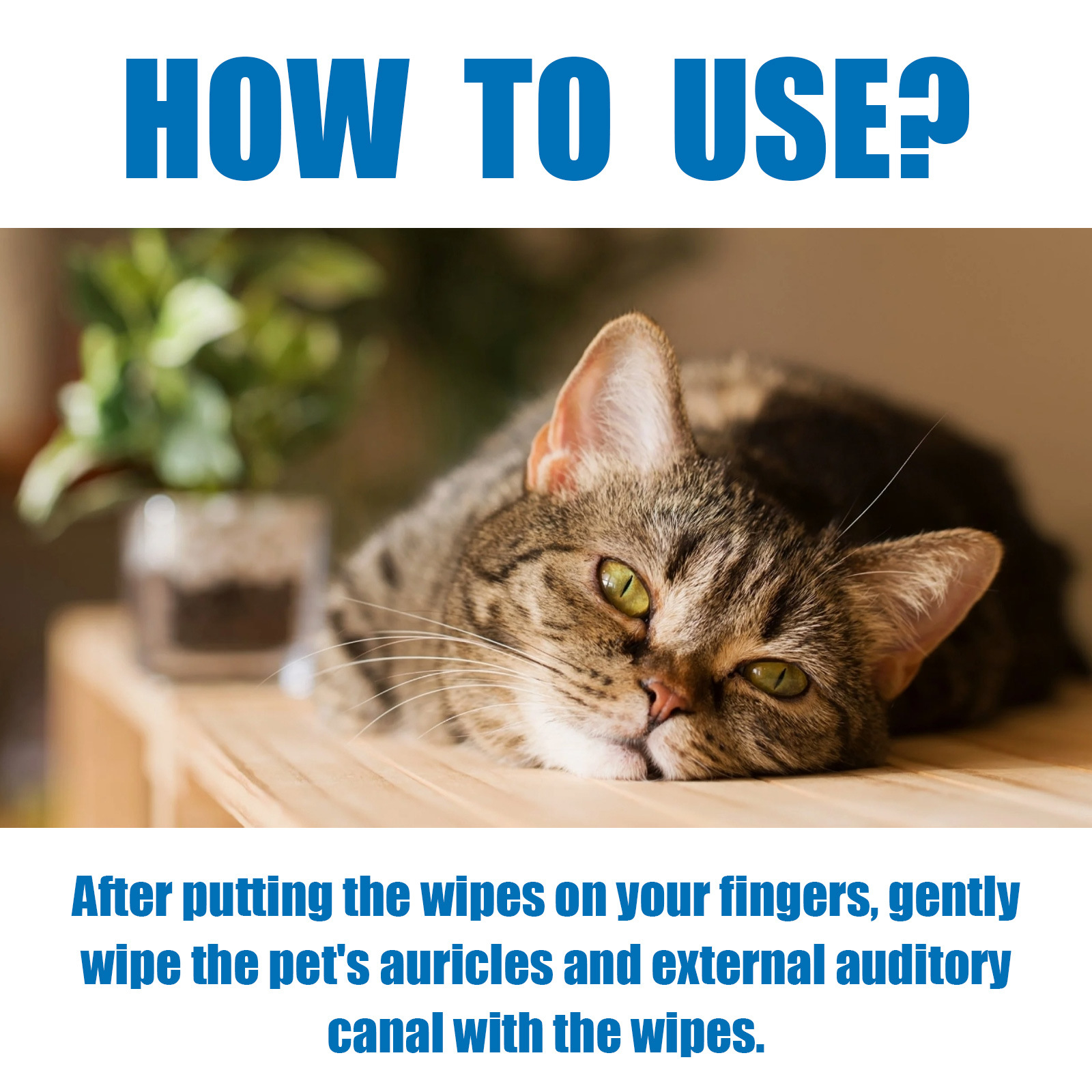 Pet Cleaning Wipes