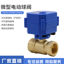 �̶���DN15 20 �綯�� �綯��ͨ�� ȫͭ ΢�͵綯��CWX-15N