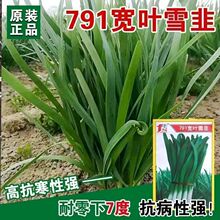 791ѩ���� �����ٳ���׸������߿��²��߲����Ӳ�԰�ļ����ִ�ȫ