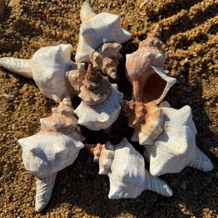 ��Ȼ���� �������� ������������ݷ�����ݴ�̖�ղ��^�p�[��