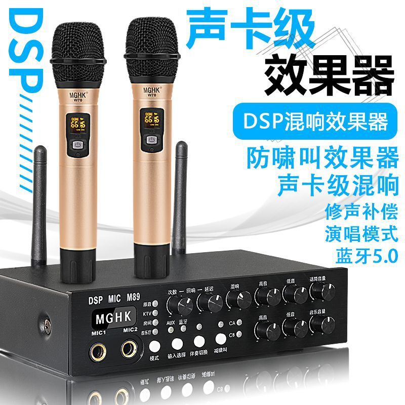 Pre-Effector Wireless Microphone One-To-Two Microphone Anti-Howling Amplifier Home Ktv Conference Karaoke Reverb