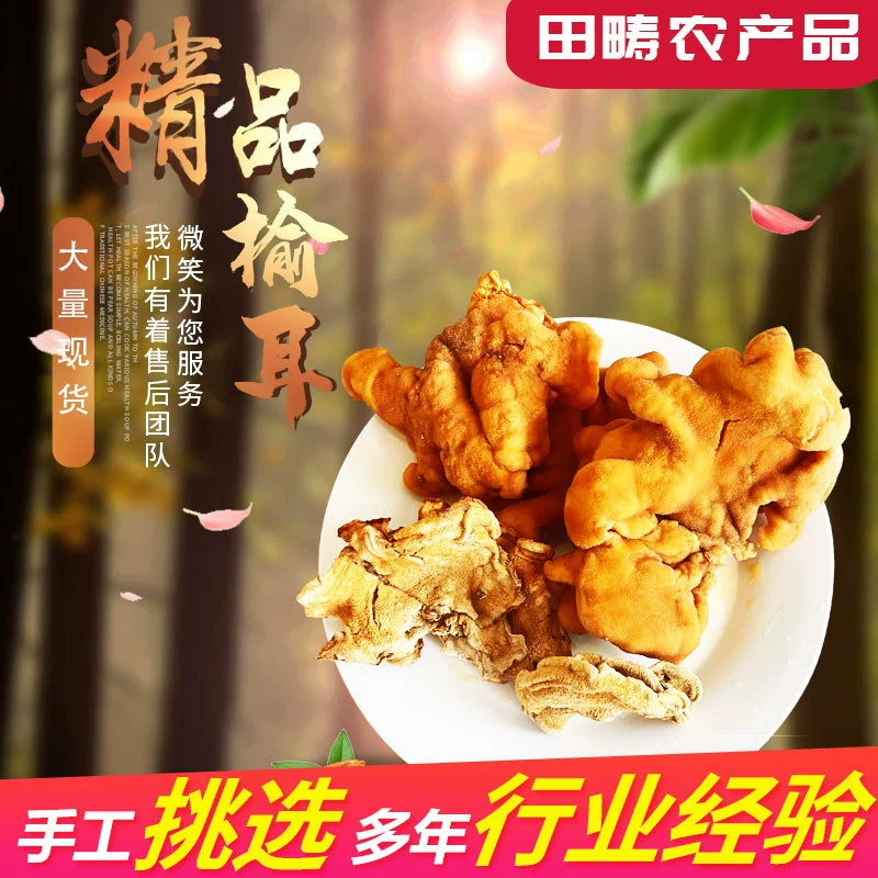 Производитель продает мясо с густыми грибами вяза вегетарианские грибы вяза гриб ганодерма