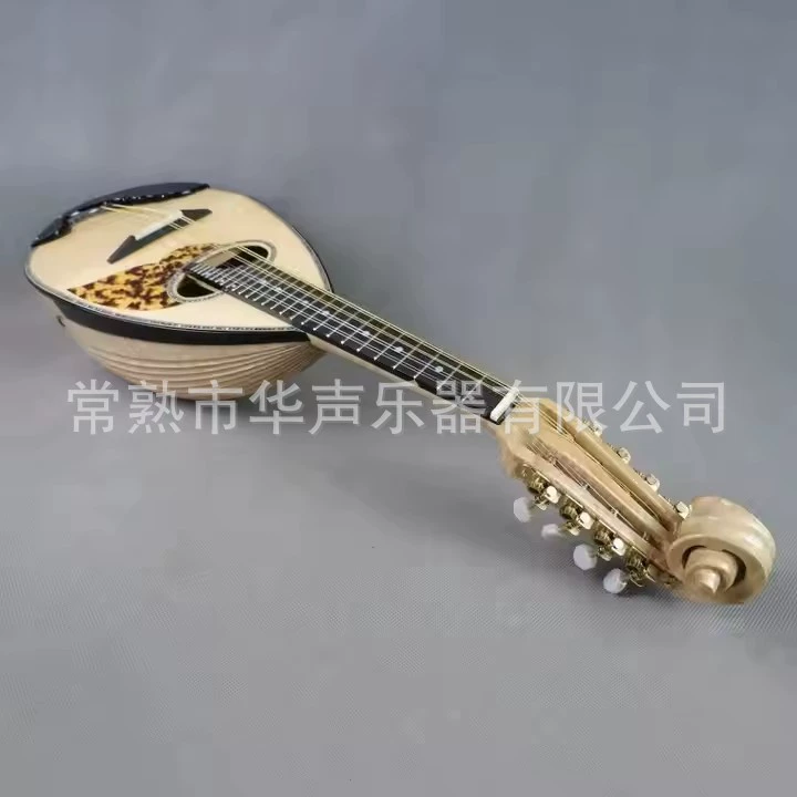 华声 Профессиональные музыкальные инструменты для начинающих