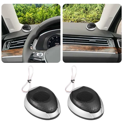 Directly Supplied from the: Car horn/tweeter