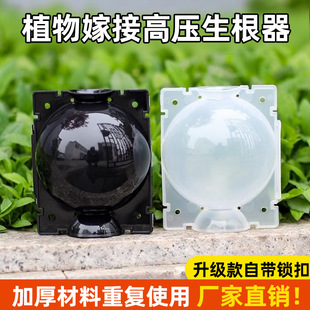 ֲ��߉��޽Ӻи߉���ֳ������ֲ���������B��Ǥ������������ֳ��