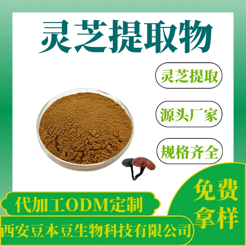 Экстракт Ganoderma 30:1 порошок Ganoderma lucidum экстракт распыления порошка источника