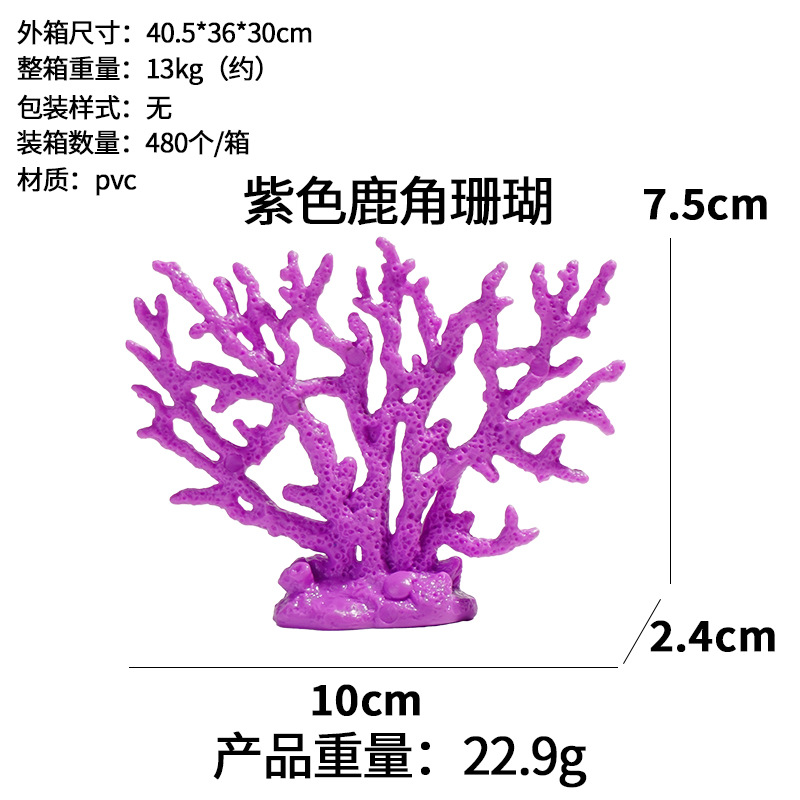Coral cornamenta púrpura