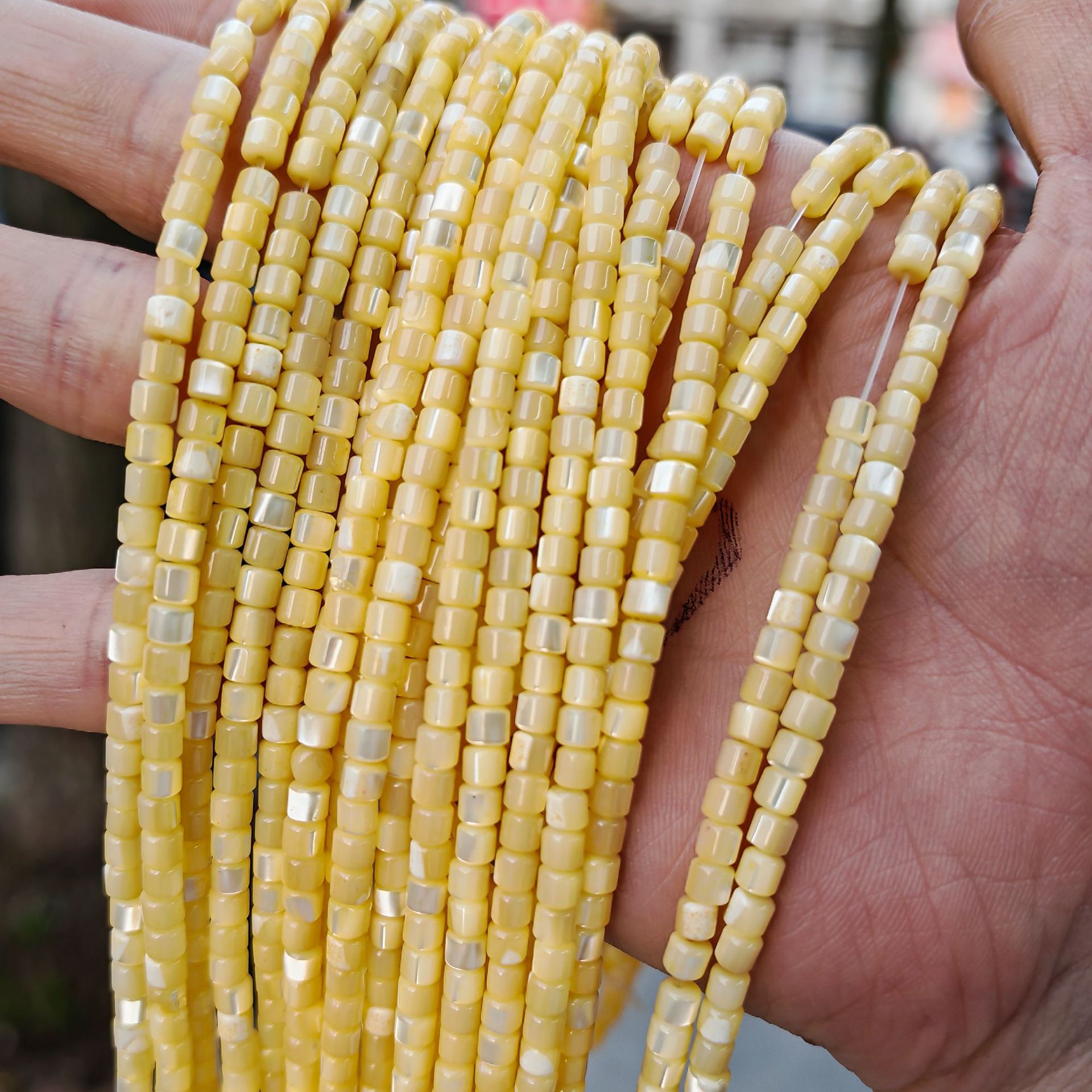 Caracol herradura-amarillo claro