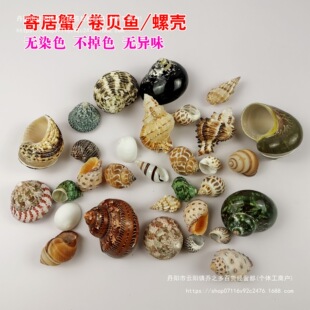 ؐ�����ݼľ�з����Q���~��ؐ�~���ݚ�ؐ�~���b�Ʒ�쾰