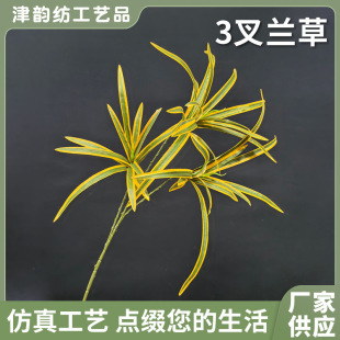 �¿�3���m���ϼ��辰�廨��ˇ��@�L����Ȼ���x�L�G߅��
