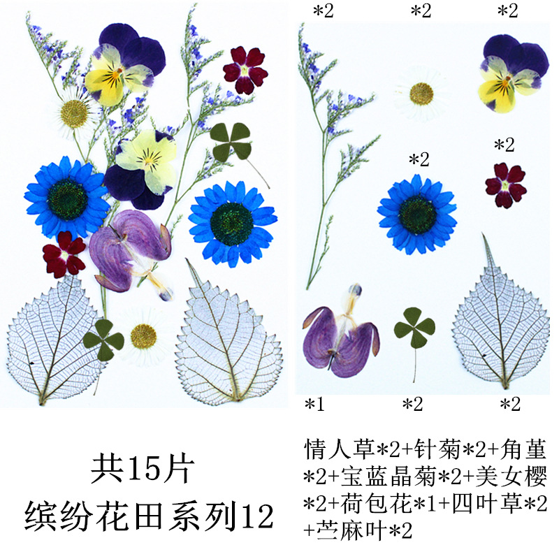 다채로운 꽃 밭 조합 12