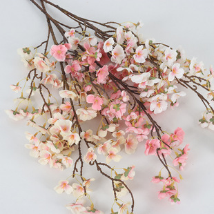 ���W�L��������ָ�ѻ�֦�ҾӾƵ����e�d���P�b[���ٻ��S�����l