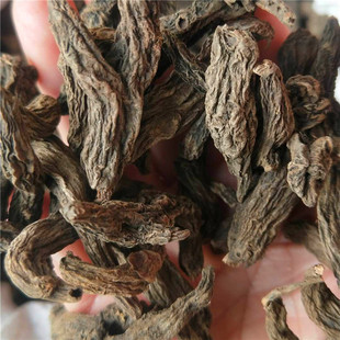 ���l�䱳����ș�ļt��ꪼt����ꪼt����ϴ���ϴ����Ʒ�½y؛�l