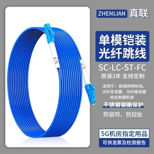 Armored Fiber Jumper Single Multimode Pigtail SC-SC/FC/LC Finished Single and Double Core Photolder Wire National Standard Telecom Grade