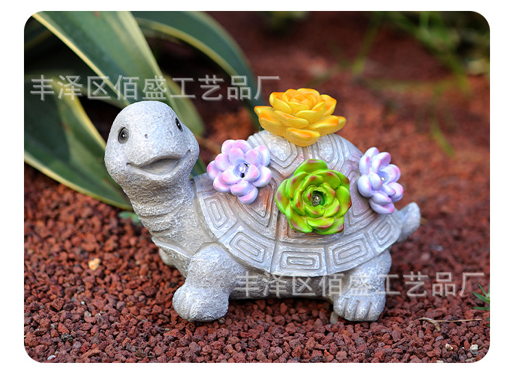 多肉乌龟_14.jpg