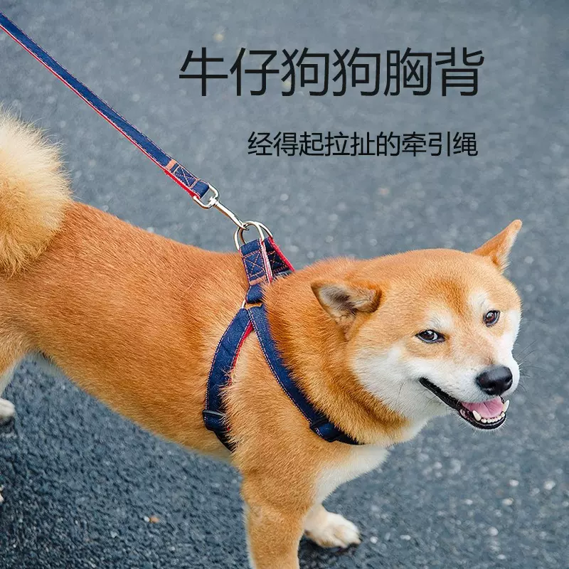 狗狗牵引绳 背带式大型中小型犬牛仔胸背带项圈套装狗绳厂家批发