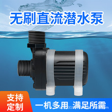 无刷直流潜水泵 尼龙耐高温潜水泵 美容仪头疗机12V小水泵 小型抽