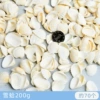 Snow clams 200g (about 70 pieces)