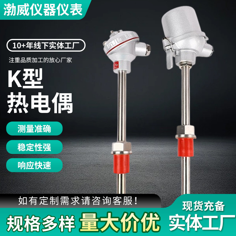 K-Type Temperature Sensor Thermocouple Wrn130/230 High Temperature Resistant 2520 Fixed Thread 310S Assembled