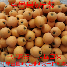 ll重庆 枇杷新鲜水果现摘大五星枇杷6斤中果包邮孕妇甜琵琶当季水