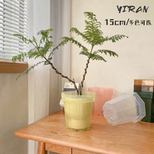 ��͸��ɫ����PP����Ӻ����[����ˮ����~�󻨠TާNֲ͸���B��