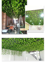 仿真葡萄葉假花藤條樹葉吊頂綠葉裝飾綠蘿綠植物塑料藤蔓管道纏繞