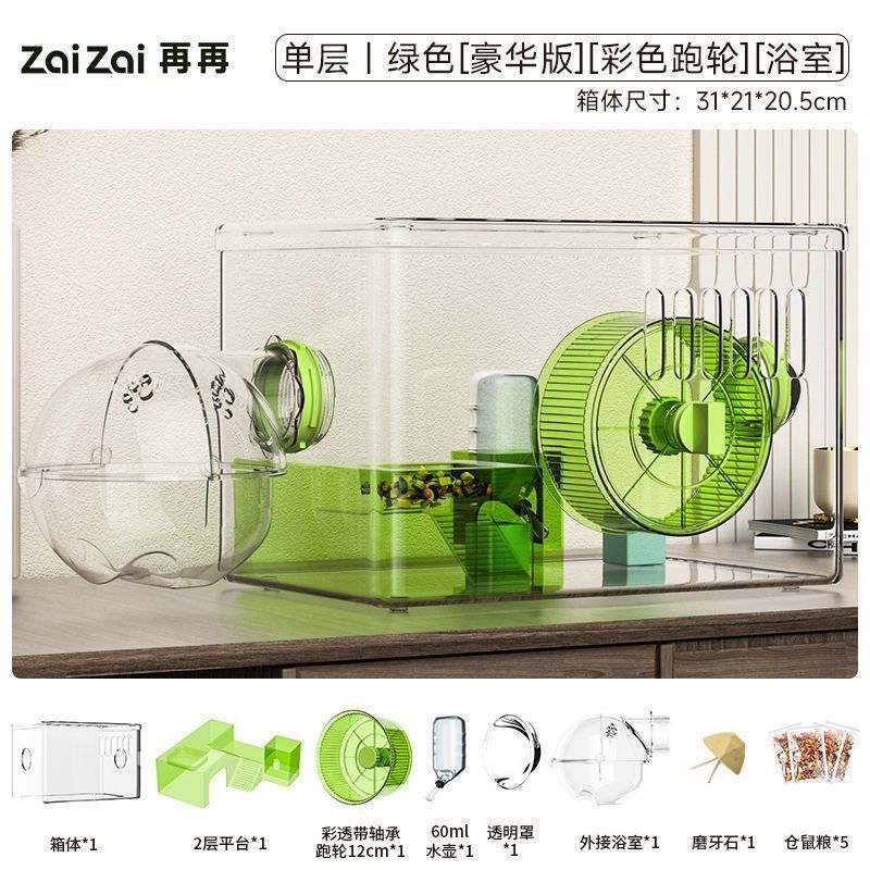 단층 그린 [디럭스 에디션] [건강한 치아 어금니석]