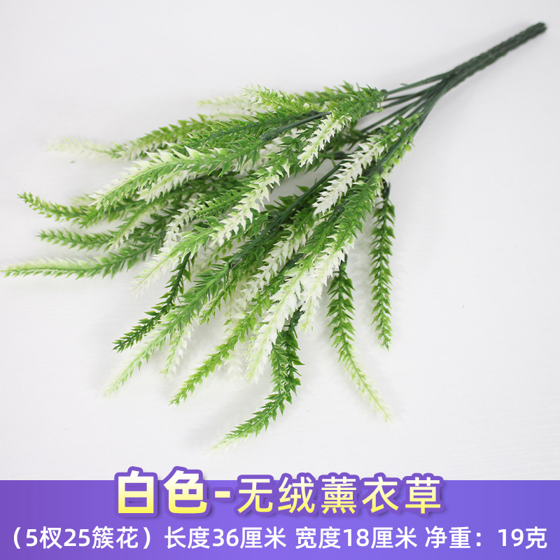 Lavanda blanca sin pelusa