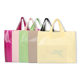 Guangdong manufacturers wholesale high-grade pe multi-color blank plastic bag clothes shop boutique bag printed logo
