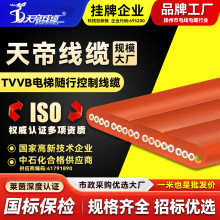 天帝TVVB電梯隨行控制線纜18*0.75起重機升降梯行車吊車扁平電纜