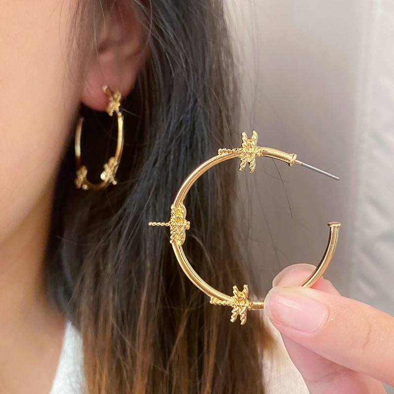 1 Pair Fashion Insect Alloy Women's Hoop Earrings display picture 1