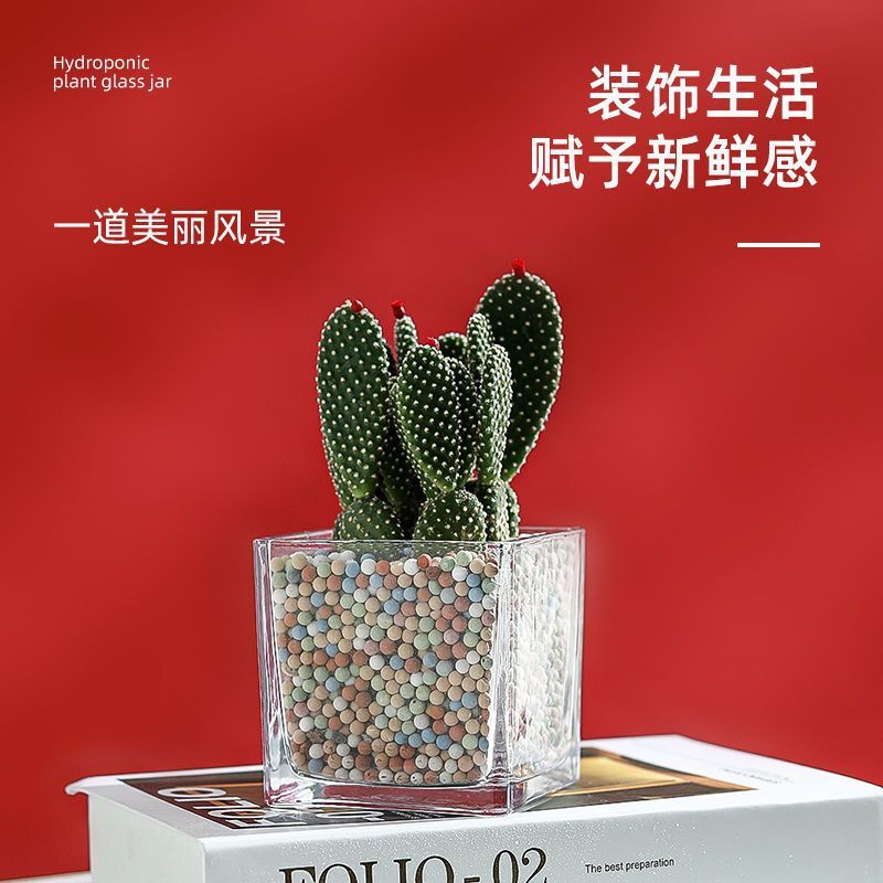 水培郁金香花盆正方形玻璃花瓶透明绿萝水养植物乌龟方缸摆件插花|undefined