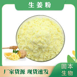 生姜粉 水溶生姜粉 生姜提取物  姜辣素 厂家现货1公斤包邮