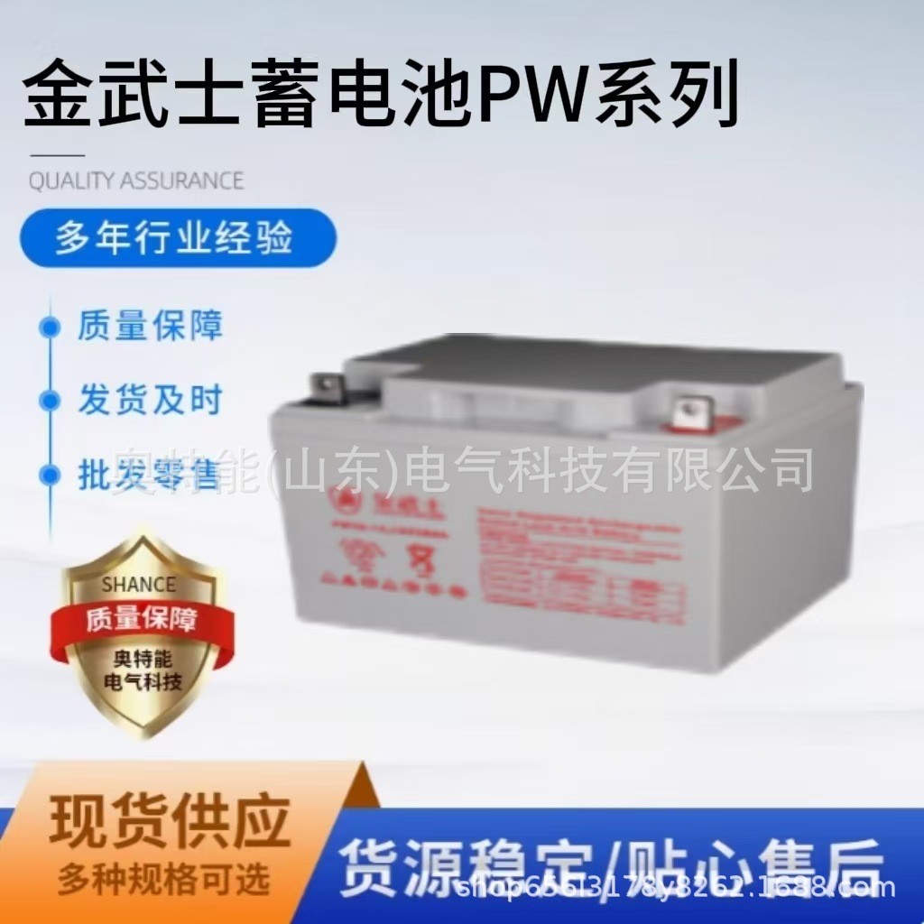 金武士蓄电池PW系列办公自动化UPS不间断电源输变电站开关控制12V