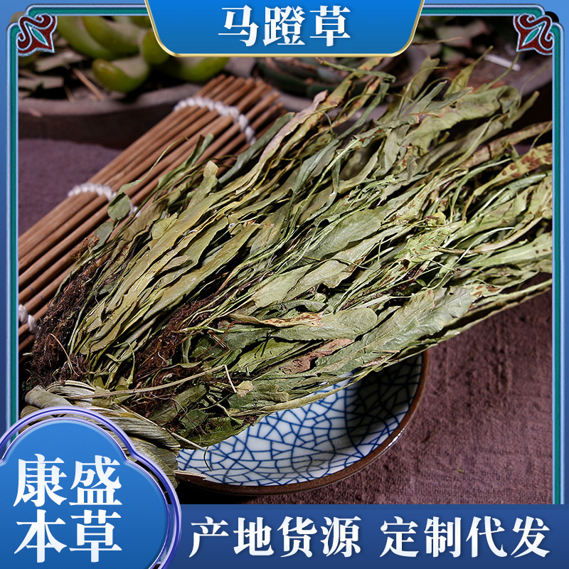 Stirrup Grass Wholesale Alias Cross-Bridge Grass Huan Yangcao Horse Lantern Grass Xiaoshi Wei Xiancao